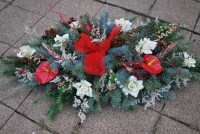 /album/fotogaleria-dusicky/dsc-0003-jpg/