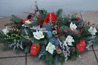 /album/fotogaleria-dusicky/dsc-0014-jpg/