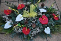 /album/fotogaleria-dusicky/dsc-0018-jpg/