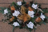 /album/fotogaleria-dusicky/dsc-0024-jpg/