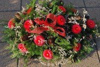 /album/fotogaleria-dusicky/dsc-0028-jpg/