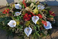 /album/fotogaleria-dusicky/dsc-0029-jpg/