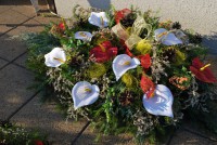 /album/fotogaleria-dusicky/dsc-0032-jpg/