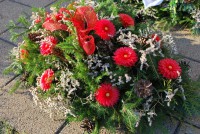 /album/fotogaleria-dusicky/dsc-0033-jpg/