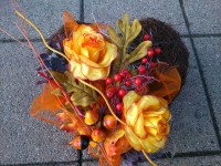 /album/fotogaleria-dusicky/dsc-0392-jpg/