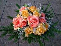 /album/fotogaleria-dusicky/dsc-0394-jpg/