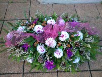 /album/fotogaleria-dusicky/dsc-0397-jpg/