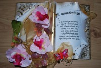 /album/fotogaleria-gratulacne-knihy/dsc-0472-jpg/