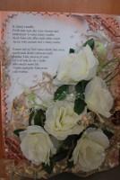 /album/fotogaleria-gratulacne-knihy/dsc-0718-jpg/