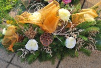 /album/fotogaleria-dusicky/dsc-0171-jpg/