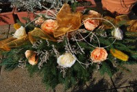 /album/fotogaleria-dusicky/dsc-0178-jpg/