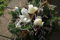 /album/fotogaleria-dusicky/dsc-0180-jpg/