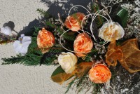 /album/fotogaleria-dusicky/dsc-0184-jpg/