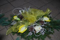 /album/fotogaleria-dusicky/dsc-0192-jpg/