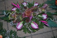 /album/fotogaleria-dusicky/dsc-0200-jpg/